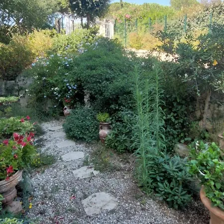 Soleil Du Sud *